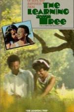 Watch The Learning Tree Sflix