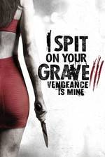 Watch I Spit on Your Grave 3 Sflix