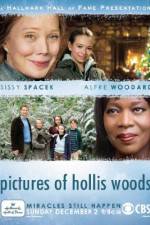 Watch Pictures of Hollis Woods Sflix