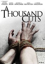 Watch A Thousand Cuts Sflix