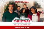 Watch A Chestnut Family Christmas Sflix