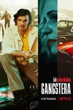 Watch How I Fell in Love with a Gangster Sflix