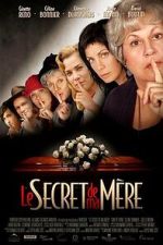 Watch A Family Secret Sflix