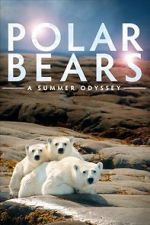 Watch Polar Bears: A Summer Odyssey Sflix