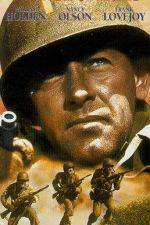 Watch Force of Arms Sflix
