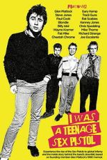 Watch I Was a Teenage Sex Pistol Sflix