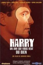 Watch With a Friend Like Harry... Sflix