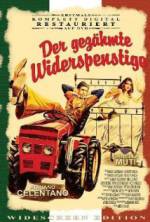 Watch The Taming of the Scoundrel Sflix