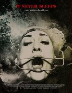 Watch It Never Sleeps Sflix