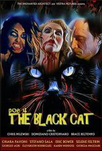 Watch POE 4: The Black Cat Sflix