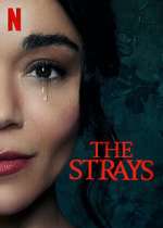 Watch The Strays Sflix