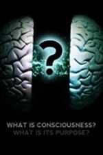 Watch What Is Consciousness? What Is Its Purpose? Sflix