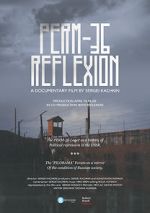 Watch Perm-36. Reflexion Sflix
