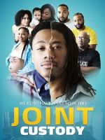 Watch Joint Custody Sflix