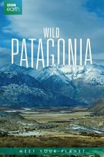 Watch Wild Patagonia Sflix