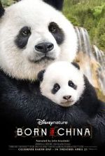 Watch Born in China Sflix