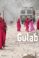 Watch Gulabi Gang Sflix