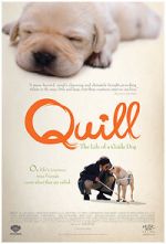 Watch Quill: The Life of a Guide Dog Sflix