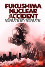 Watch Fukushima Nuclear Accident - Minute by minute Sflix