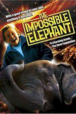Watch The Incredible Elephant Sflix