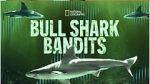 Watch Bull Shark Bandits Sflix