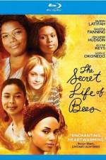 Watch The Secret Life of Bees Sflix