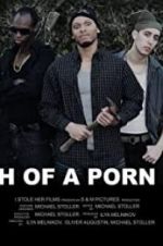 Watch Death of a Porn Crew Sflix