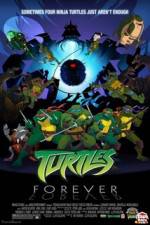 Watch Teenage Mutant Ninja Turtles Turtles Forever Sflix