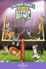 Watch Kitten Bowl II Sflix