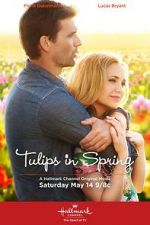Watch Tulips in Spring Sflix