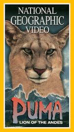 Watch Puma: Lion of the Andes Sflix