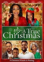 Watch A True Christmas Sflix