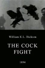 Watch The Cock Fight Sflix