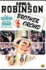 Watch Brother Orchid Sflix