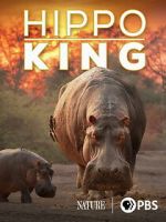 Watch Hippo King Sflix