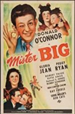 Watch Mister Big Sflix