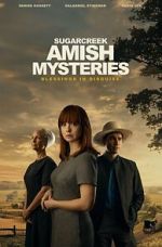 Watch Sugarcreek Amish Mysteries: Blessings in Disguise Sflix