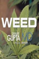 Watch CNN Weed Sanjay Gupta Report Sflix