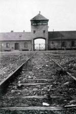 Watch AUSCHWITZ: FRENZIED KILLING Sflix