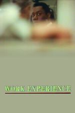 Watch Work Experience Sflix