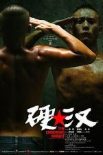 Watch Underdog Knight Sflix