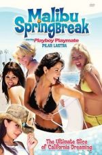 Watch Malibu Spring Break Sflix