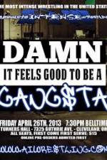 Watch AIW Damn It Feels Good To Be A Gangsta Sflix