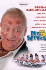 Watch My 5 Wives Sflix
