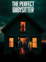 Watch The Perfect Babysitter Sflix