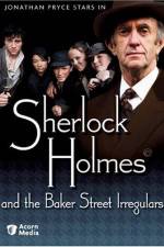 Watch Sherlock Holmes and the Baker Street Irregulars Sflix
