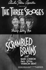 Watch Scrambled Brains Sflix