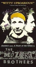 Watch Brderna Mozart Sflix