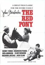 Watch The Red Pony Sflix
