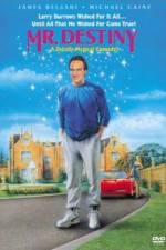 Watch Mr. Destiny Sflix